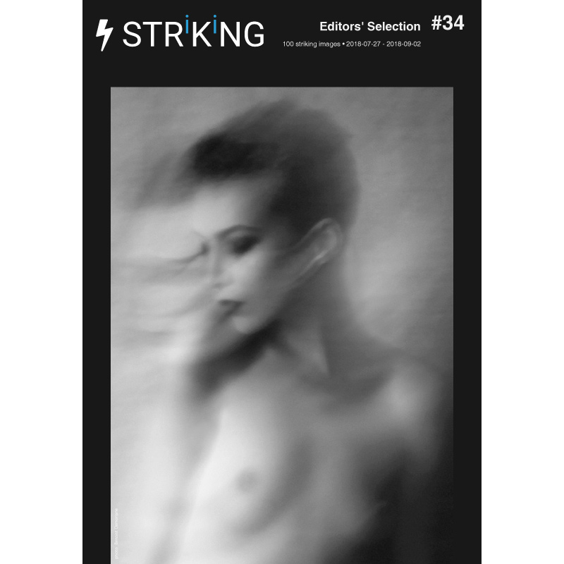 Renate Wasinger - Publications