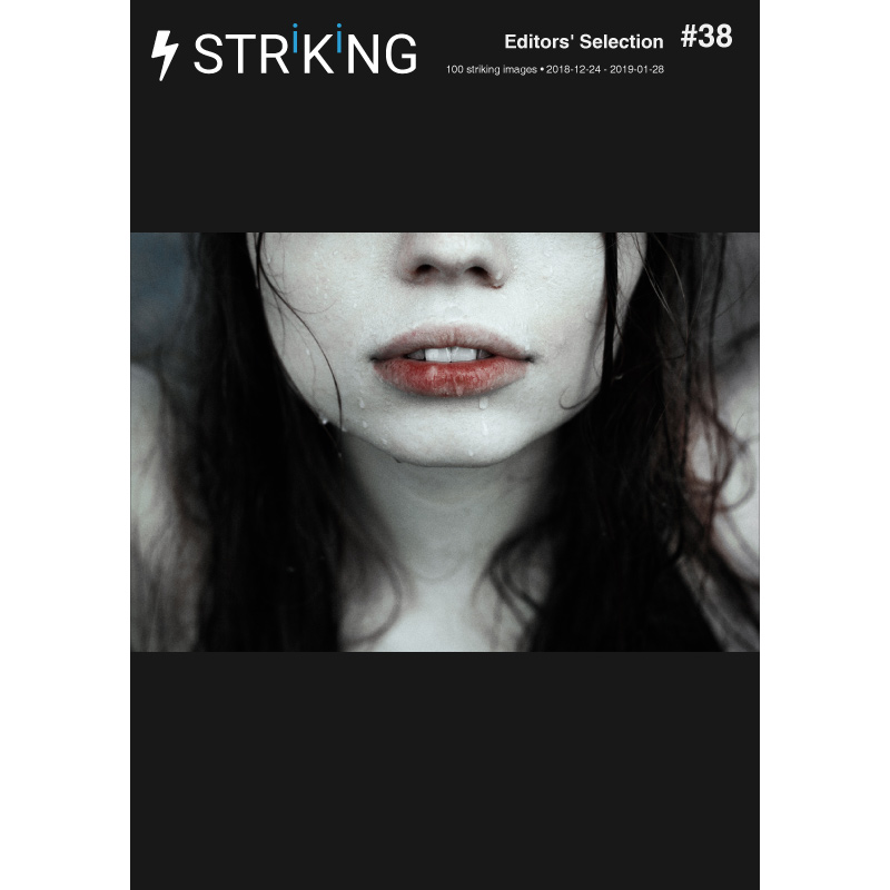 Renate Wasinger - Publications