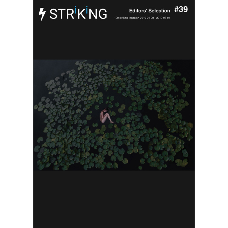 Renate Wasinger - Publications